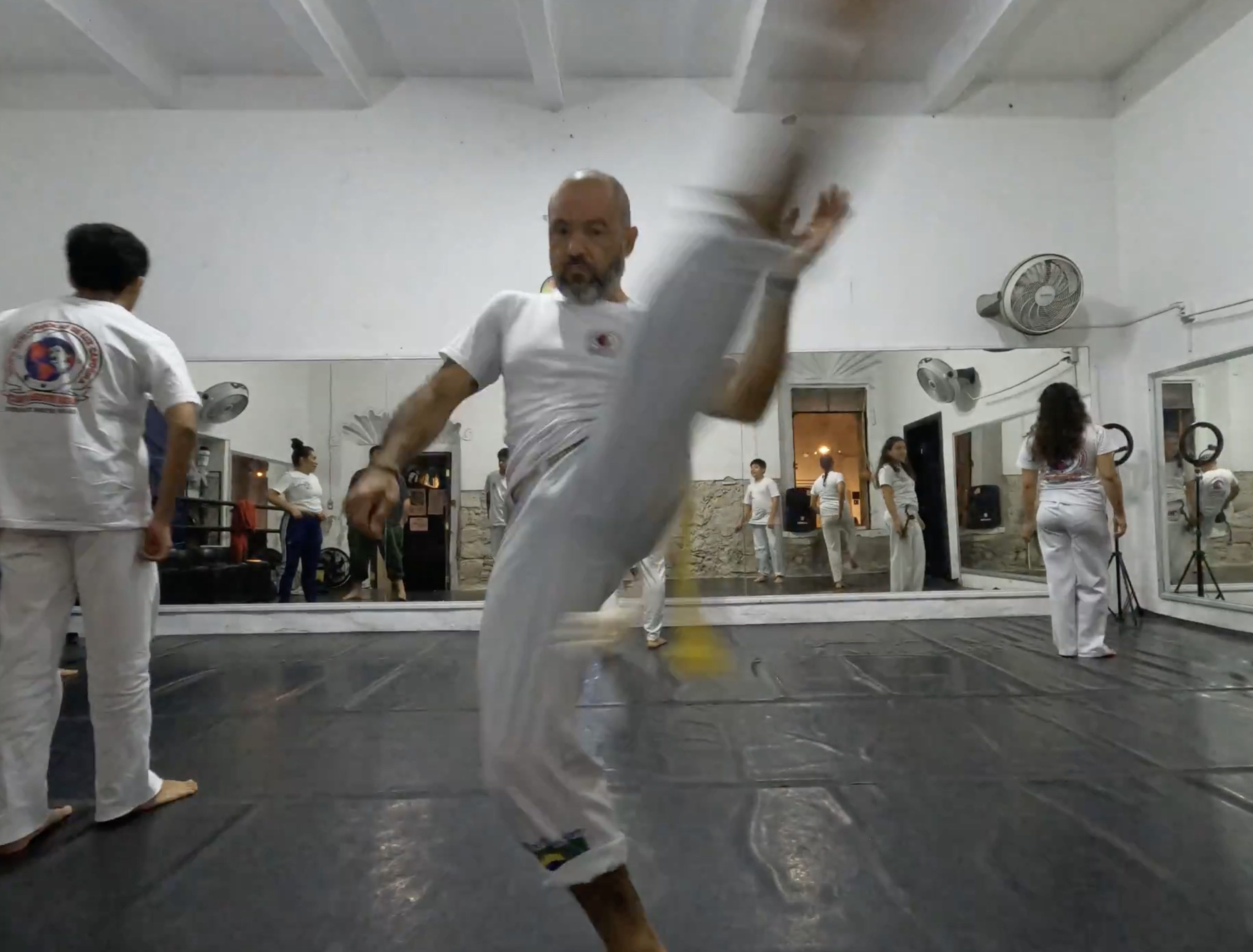Disciplina Capoeira
